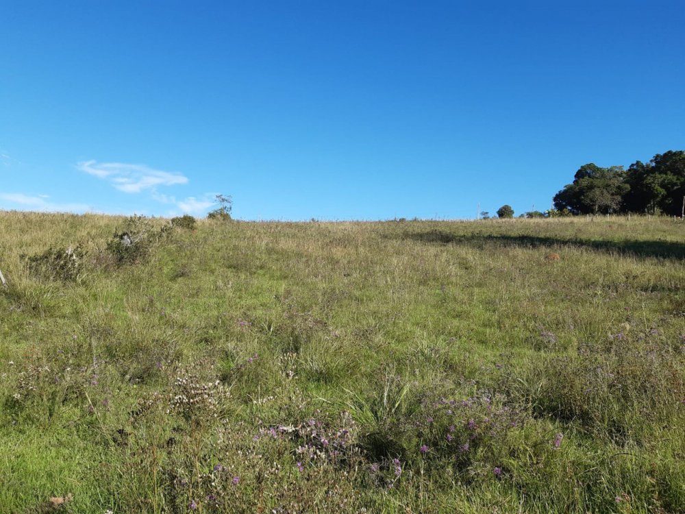 Stio - Venda - Zona Rural - Glorinha - RS